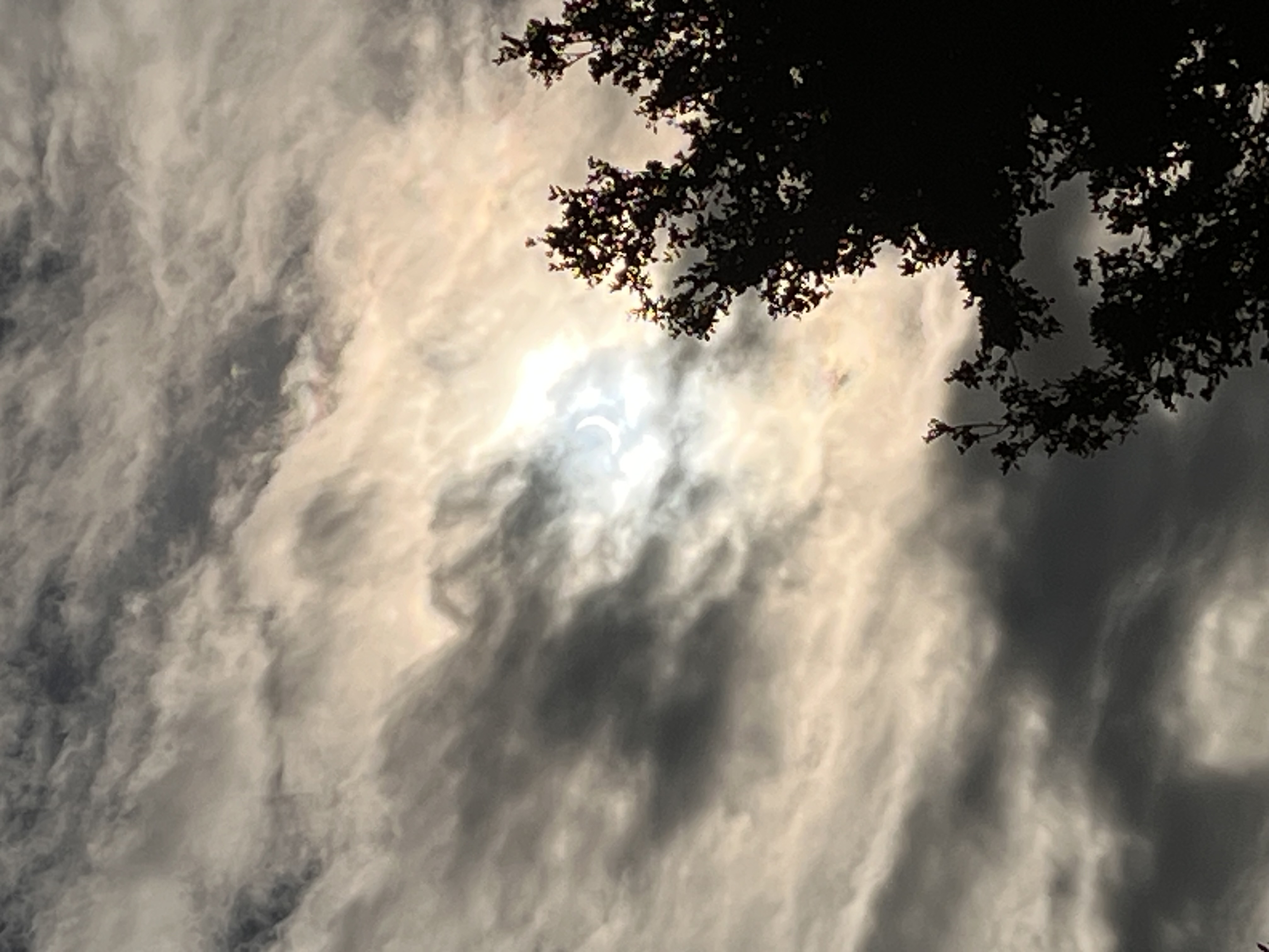 the eclipse shining through some clouds- only a small sliver of the sun is visible. the clouds appear dark grey in the shade but there are less dense spots where they appear a light gold color. in the bottom right there is an oak tree, it looks completely black cuz its the shaded side.