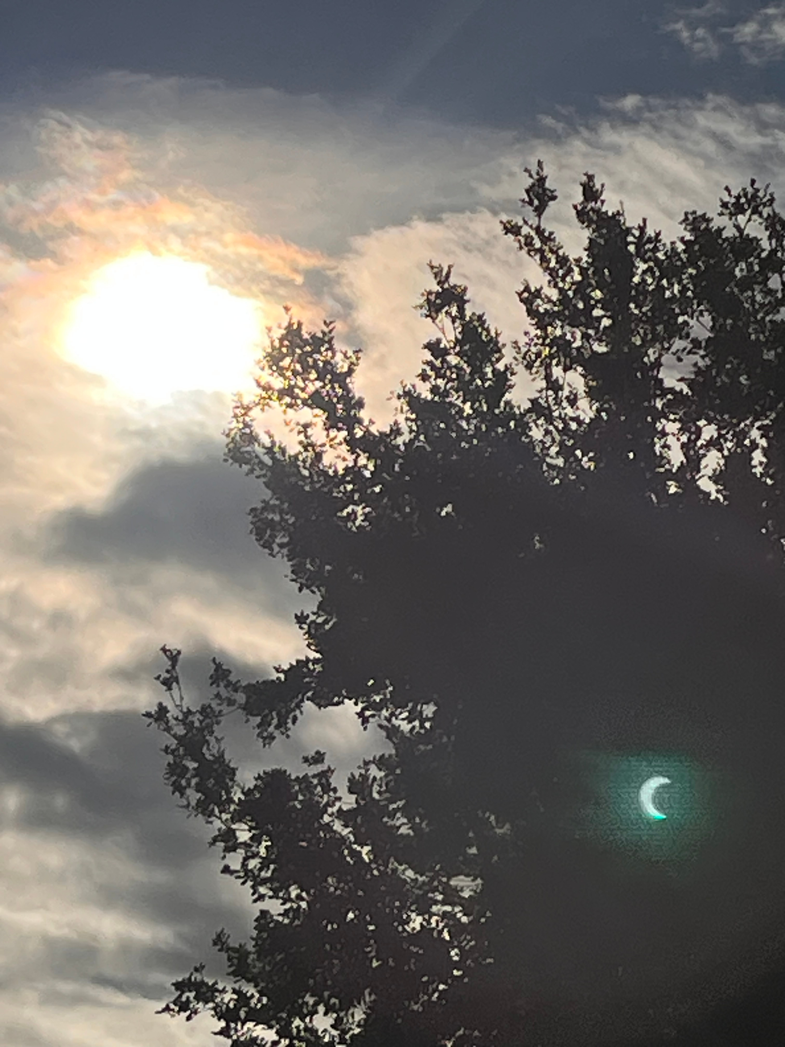 the eclipse in some clouds. the clouds appear dark grey in the shade but there are less dense spots where they appear a light gold color. in the bottom right there is an oak tree, it looks completely black cuz its the shaded side. and a greenish artefact showing an imprint of the eclipse is over the tree